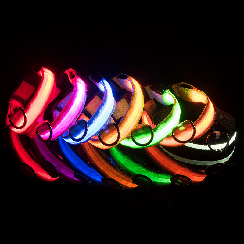 Rechargeable LED Dog Collar